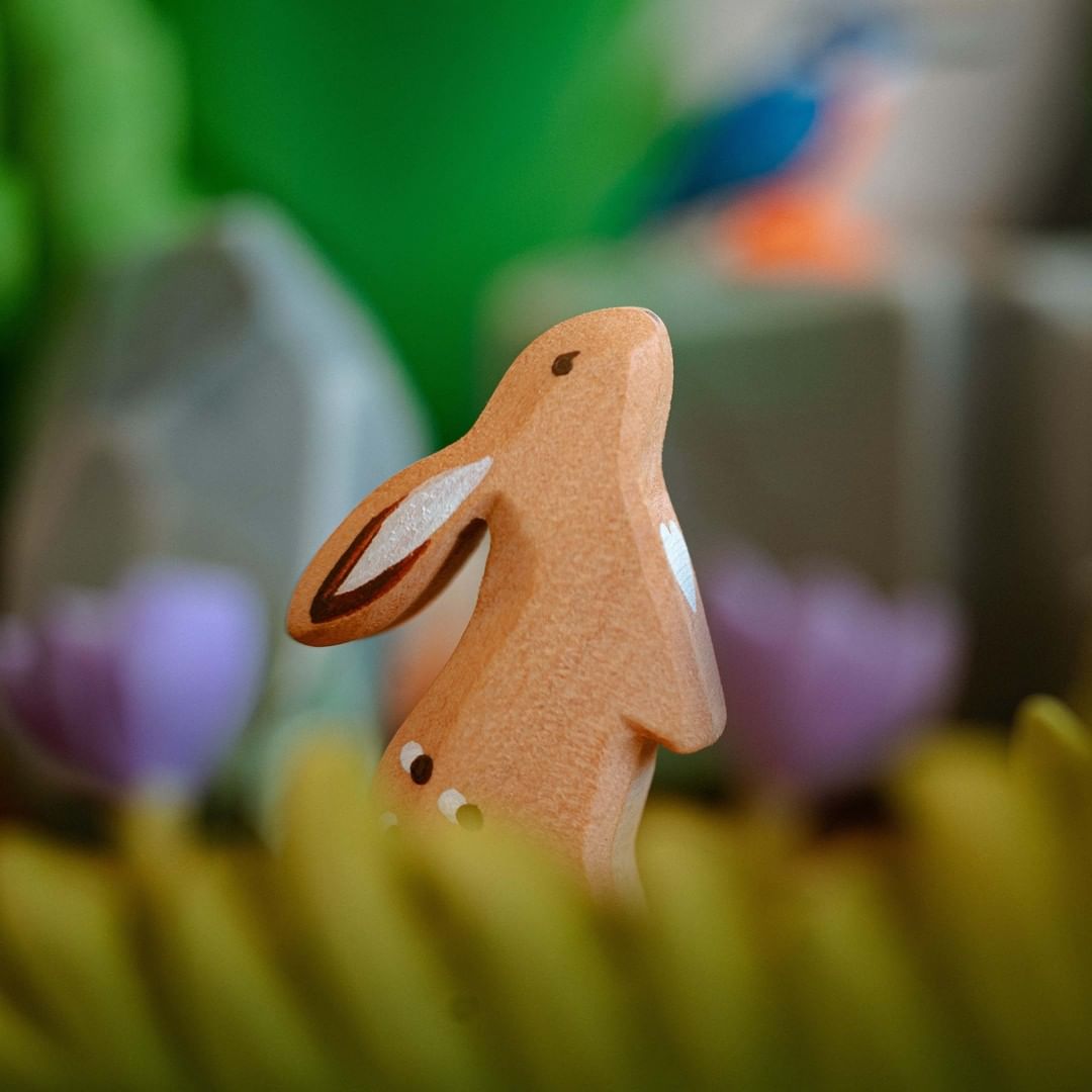 Bumbu Curious Rabbit