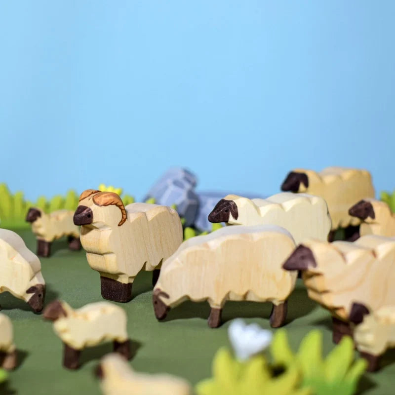 Bumbu Flock of Sheep