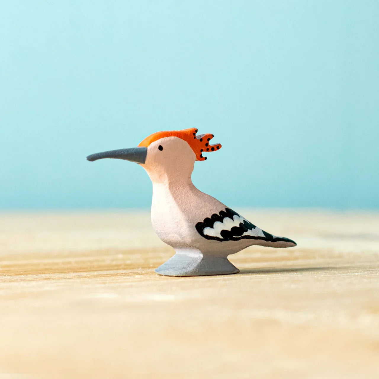 Bumbu Hoopoe Bird