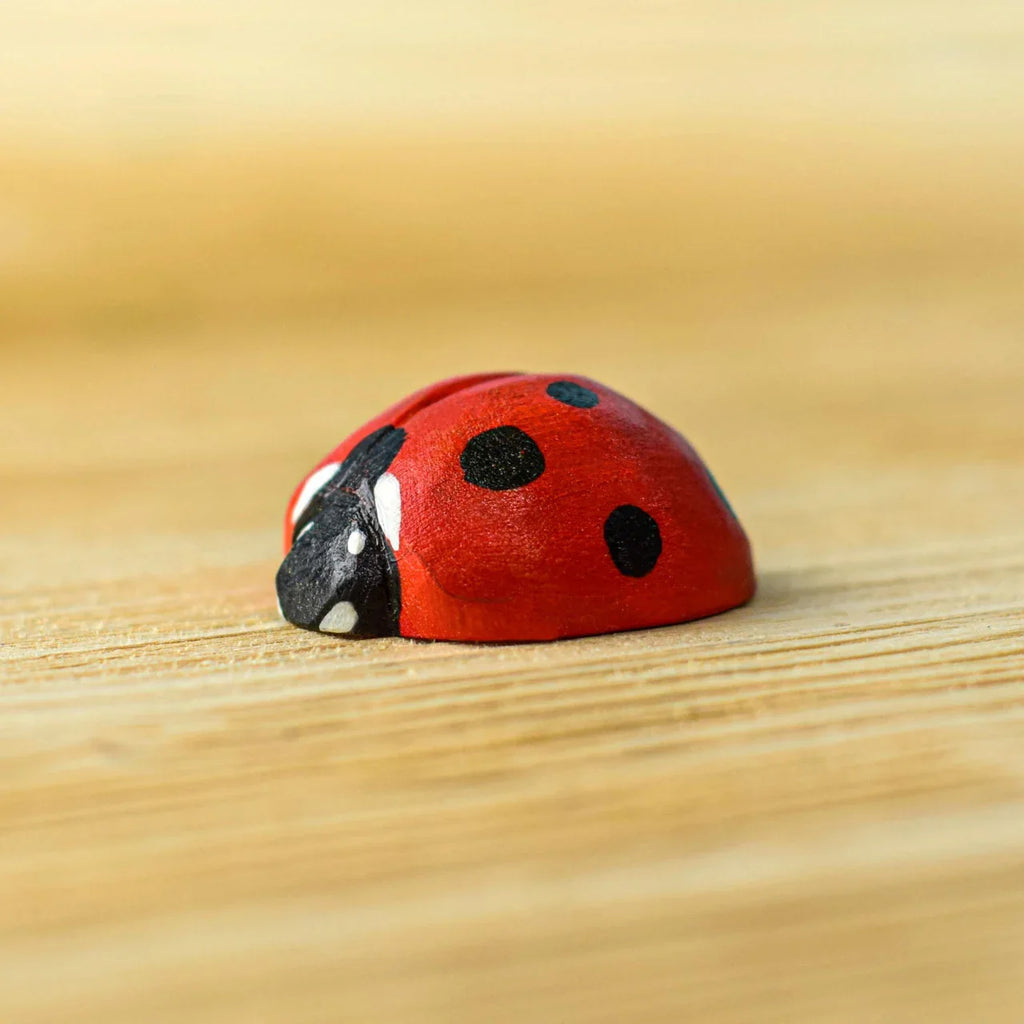 Bumbu Ladybug