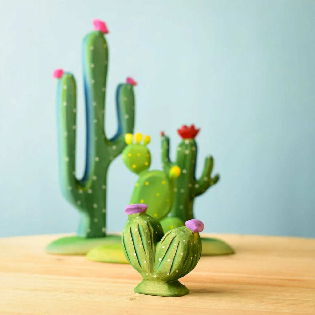 Bumbu Pin Cushion Cactus