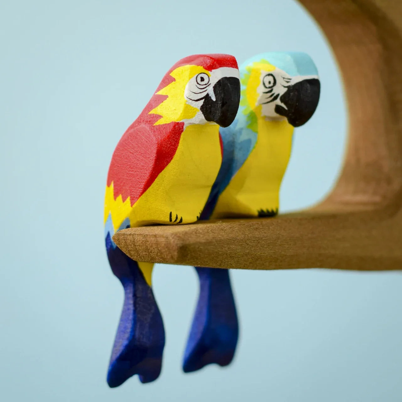 Bumbu Red Amazonian Parrot