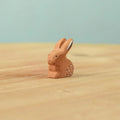Bumbu Sitting Baby Rabbit