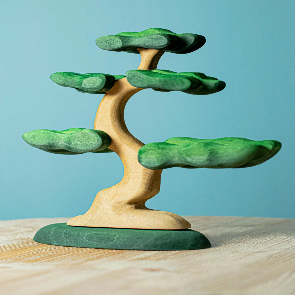 Bumbu Bonsai Tree