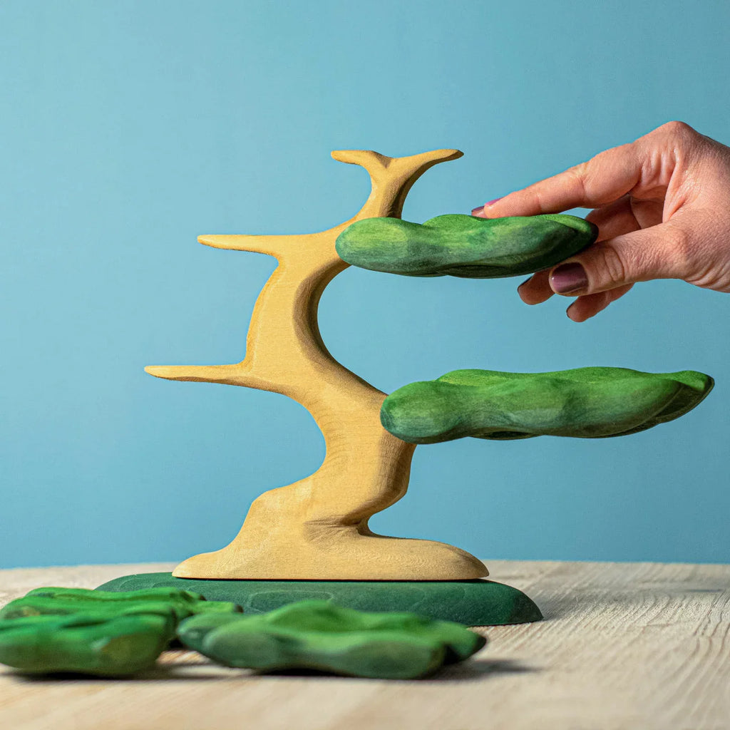 Bumbu Bonsai Tree