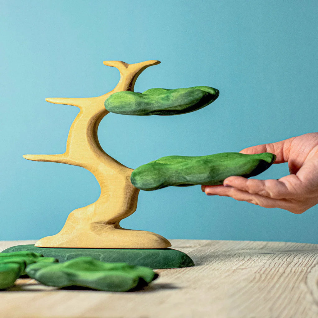 Bumbu Bonsai Tree