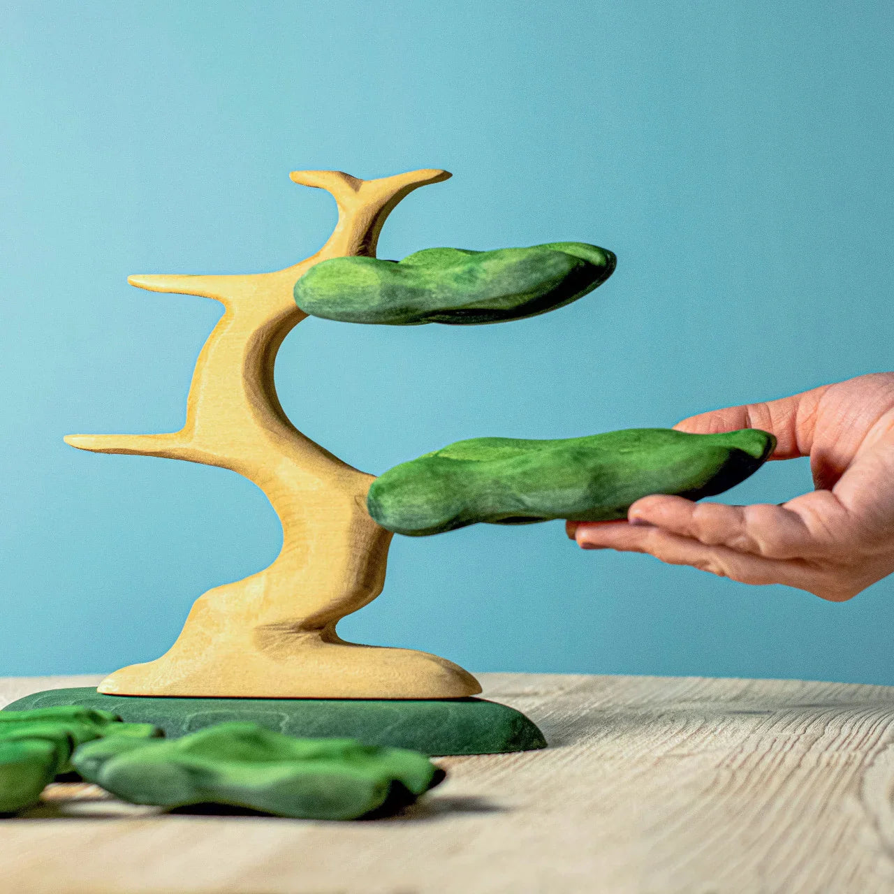 Bumbu Bonsai Tree
