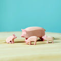 Bumbu Pig Family