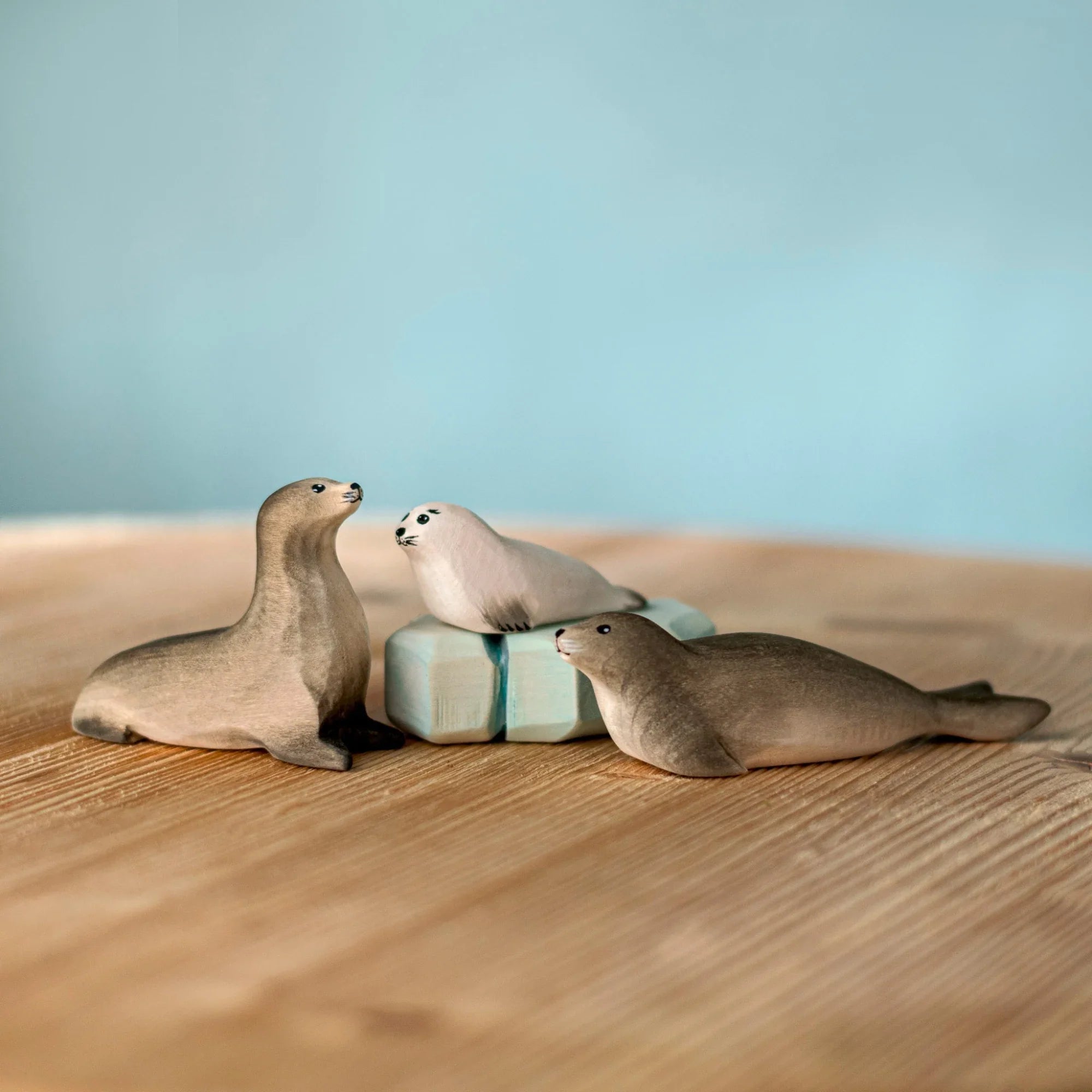 Bumbu Harp Seal Family and Iceberg Set