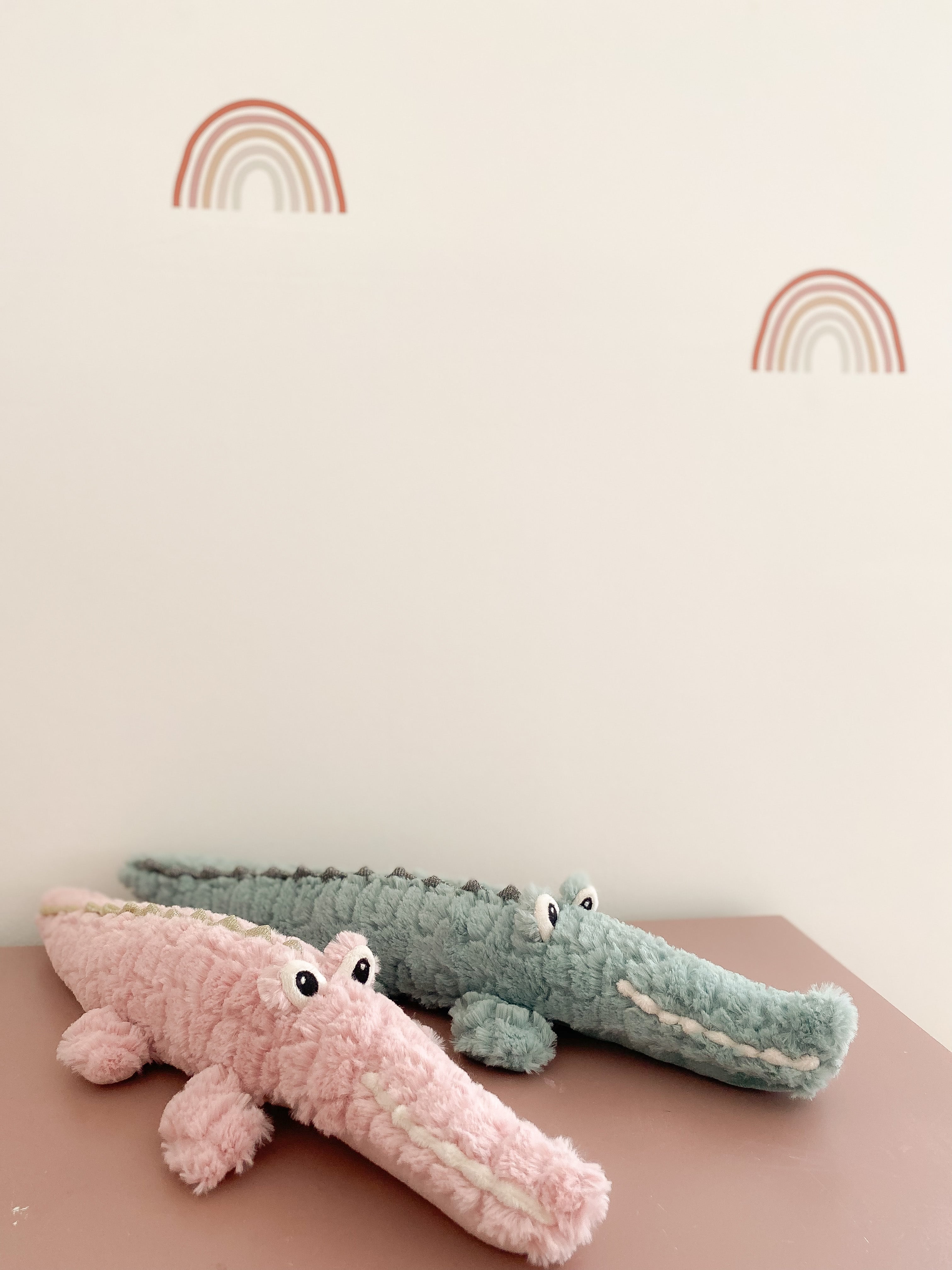 Alligator