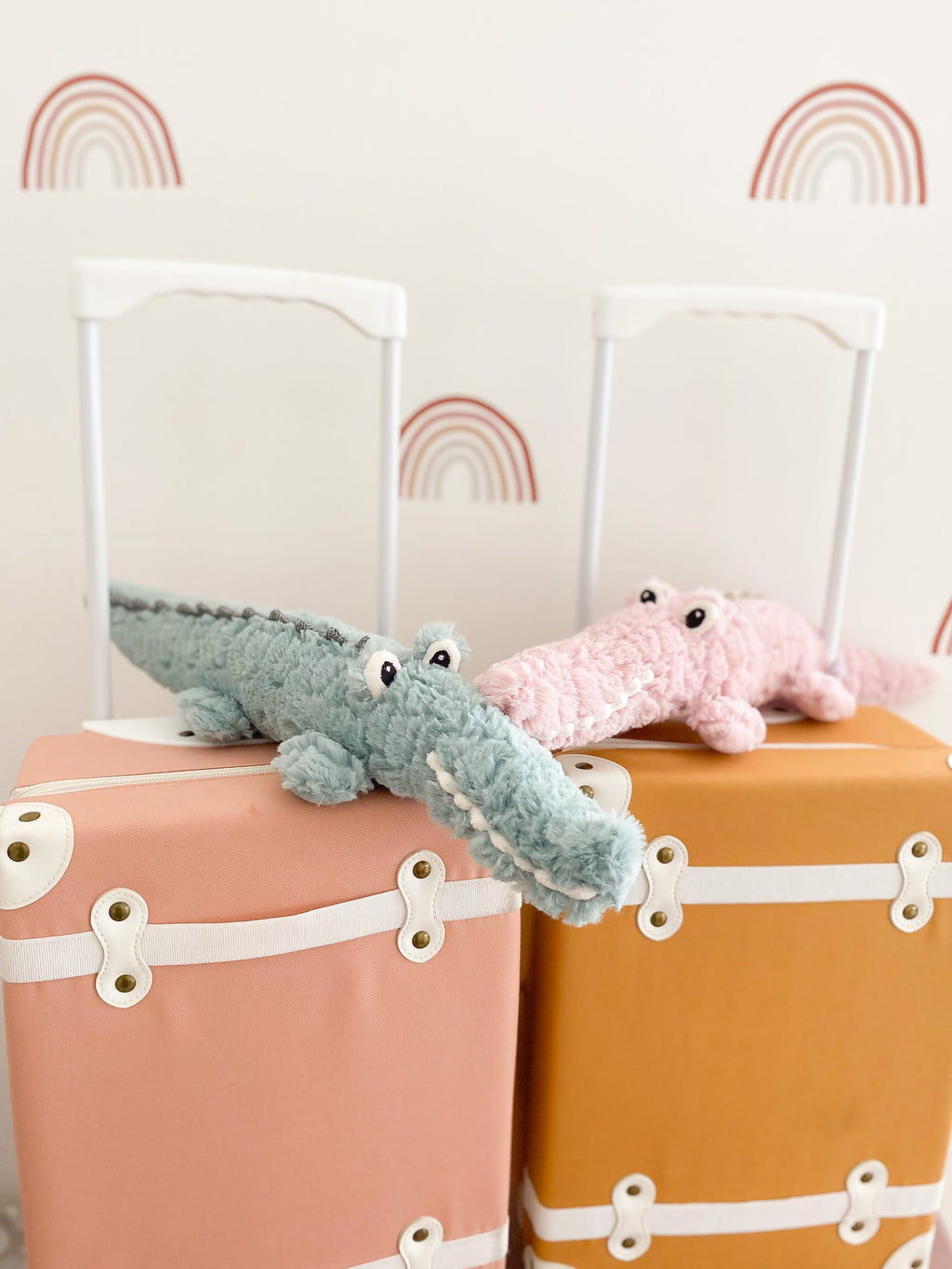 Alligator