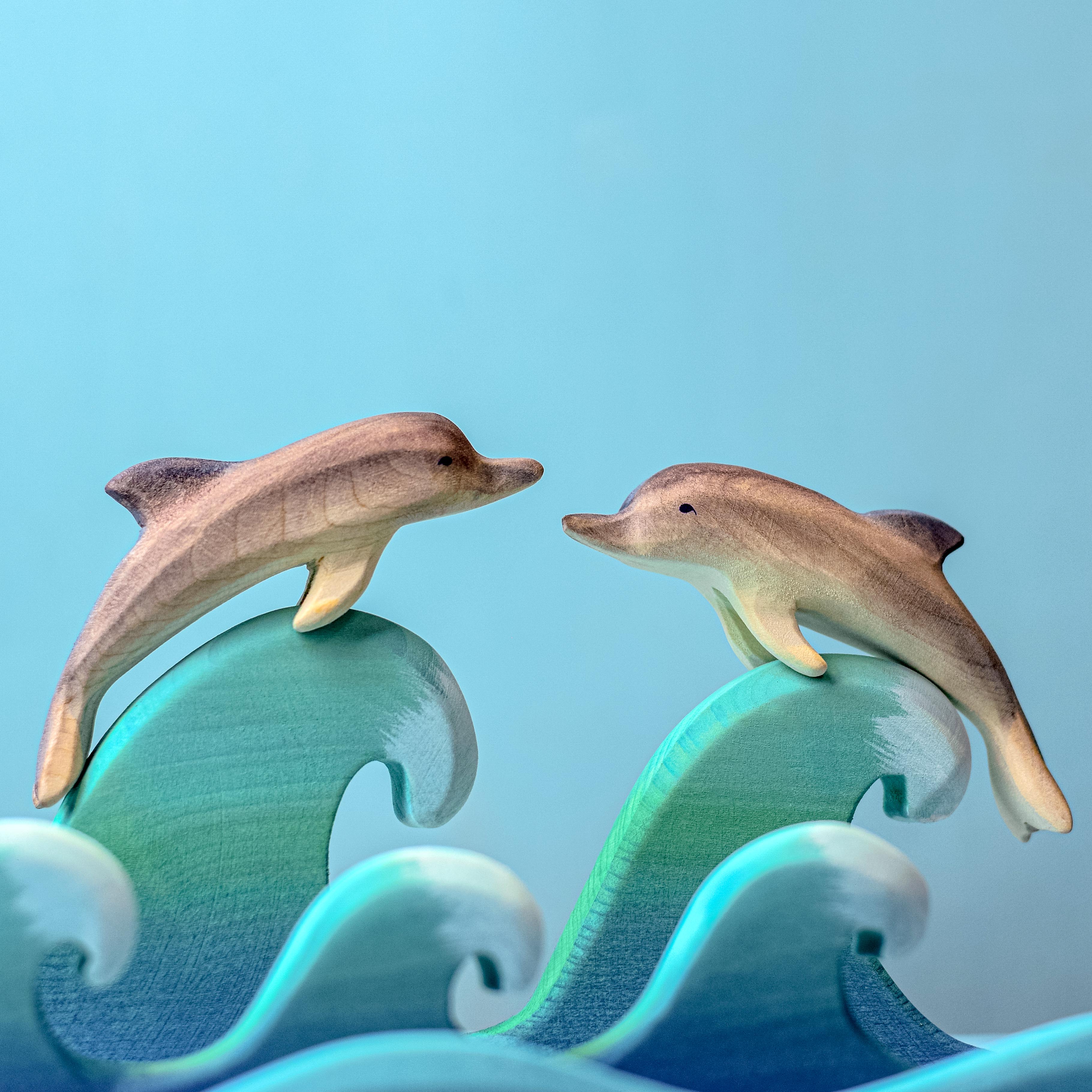 Bumbu Dolphins Set