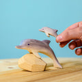 Bumbu Dolphin