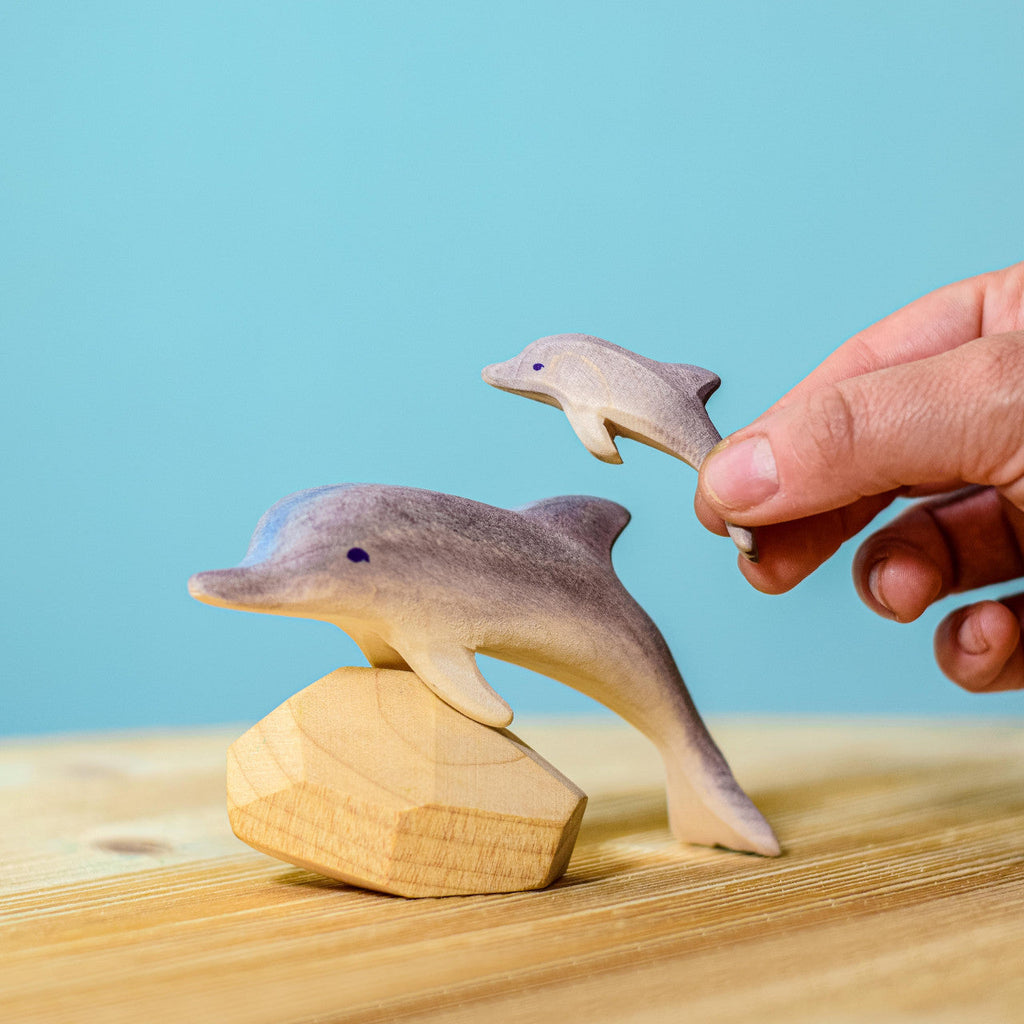 Bumbu Dolphins Set