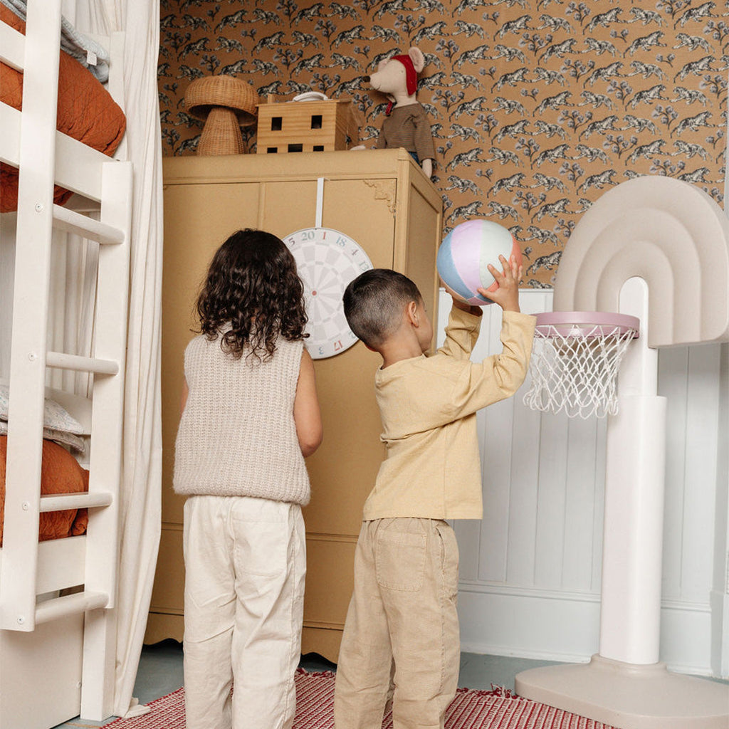 Basketball Hoop