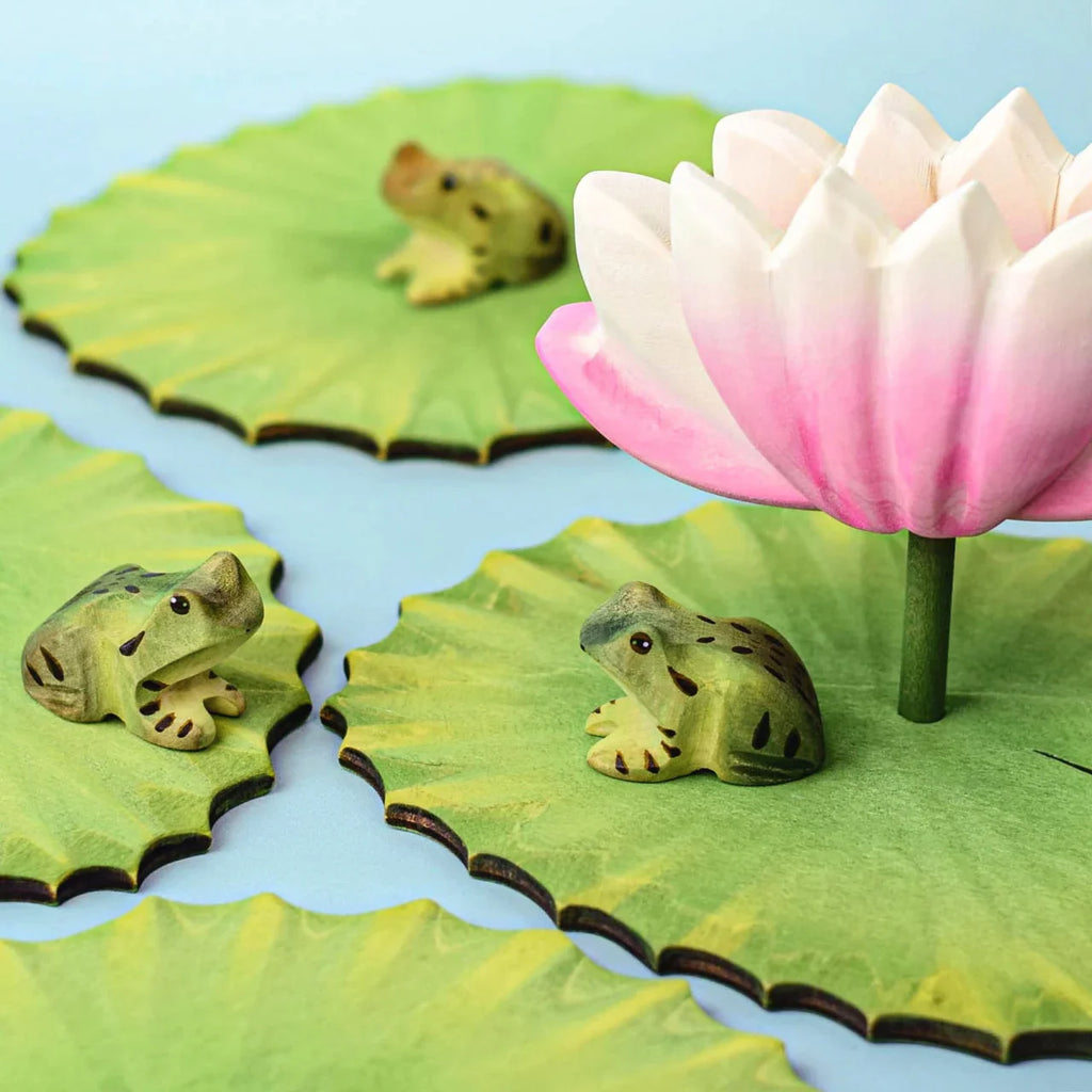 Bumbu Lotus Flower