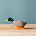 Bumbu Mallard Duck, Curious