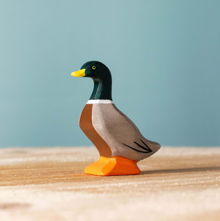 Bumbu Mallard Duck