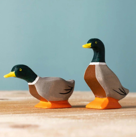 Bumbu Mallard Duck