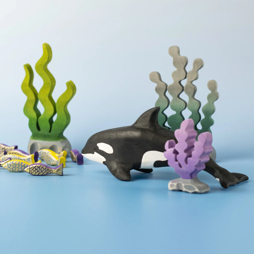 Bumbu Orca Set