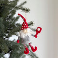 Assorted Pickleball Gnome Ornament